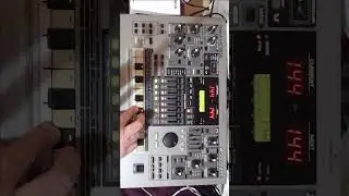 7 | Lone | MC-505 Sounds 1 | S1 | #dawless #synth #electronicmusic #hardwarejam
