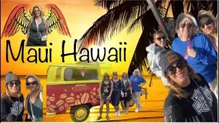 South Maui Gardens/ Maui Ocean Center / whale watching 🐋 #hawaiicruise #maui #aquariumofhawaii