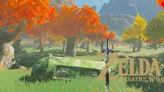 1 Hour of Calming Breath of the Wild Music with Fall Ambience