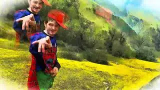 MEADOW