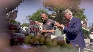 MFS Brand Video