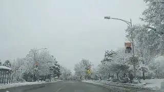 Beautiful Snowfall  in America ❄️| Peaceful Winter Scenery 4K