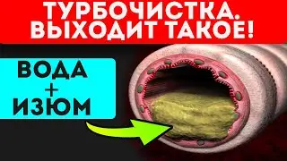 Сделай вечером, выпей утром! И твои печень, сосуды и бока…