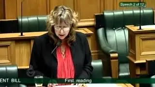 Civil Defence Emergency Management Amendment Bill - First reading - Part 2
