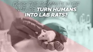 Does the domination of nature turn humans into lab rats?