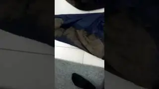 В школу весной...