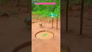 &ldquo;An Unusual Method of Catching a Parrot&rdquo;#comedy #funny #birds