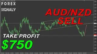 Mastering H4 Timeframe: AUD/NZD Forex trading, Sell Signal from Median (Return to Broken Line)