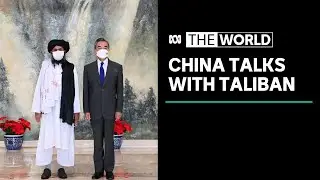 Why analysts believe China needs to have a relationship with the Taliban | The World