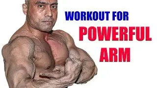 &ldquo;Complete Arm Workout Routine | Build Bigger Biceps & Triceps | 8 Best Exercises for Massive Arms&rdquo;