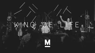 KING OF LIFE // Stairway Music -- LIVE
