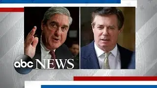 Mueller requests immunity for witnesses in Paul Manafort trial
