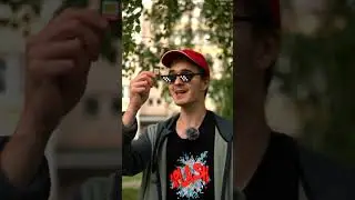 Как правильно покупать игры на Nintendo Switch?