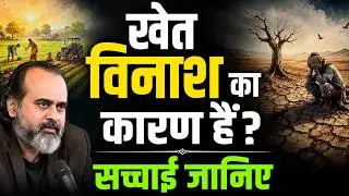 खेतों का वो सच जो कोई नहीं बताता। हरा खेत जंगल नहीं, विनाश है