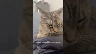 One&rsquo;s Heartbroken, One&rsquo;s Vibing 😾😸 | Packing Struggles