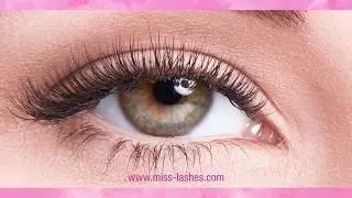 Miss Lashes Commercial Denise.Mski