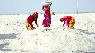 Workers Mining Salt Stock Video
