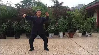 Master Zhou Zhengfu - Shanghai China