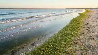 Discover the Tranquil Beauty of a Lagoon Paradise - Natural Soundscapes
