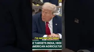 How Will Allies Respond to U S  Tariffs  