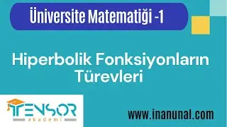18. HİPERBOLİK FONKSİYONLARIN VE TERSLERİNİN TÜREVLERİ-[KALKÜLÜS | ÜNİVERSİTE MATEMATİĞİ-1 #türev