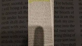 Daily Chapter - Day 6 #jesus #god #bible #holyspirit #series #6 