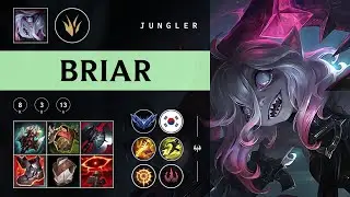 Briar Jungle vs Warwick - KR Diamond Patch 25.24