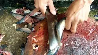 cara filet ikan lele yg baik dan benar tanpa duri!!!