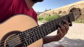 Taranta on microtonal guitar
