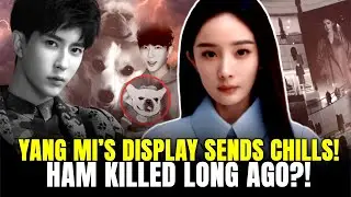 Yang Mi&rsquo;s Display Shocks; Yu&rsquo;s Dog &lsquo;Ham&rsquo; Killed in 2020? China&rsquo;s &lsquo;Human-Mine&rsquo; Economy Exposed.