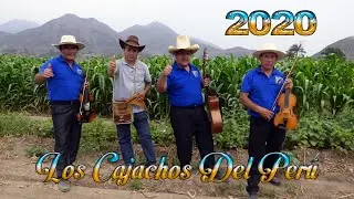 LOS CAJACHOS DEL PERÚ bella Cajamarca PRIMICIA 2020