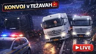 🔴 LIVE 🔴  NAM BO USPELO! CILJ ALI SERVIS?? 🚛ETS2🚛 W/ @NisDeBoss