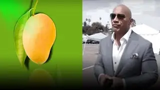 The Ultimate Fruit Taste Ranking By Memes