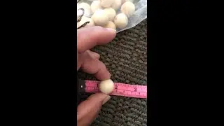 500pcs 20mm Wooden Beads Natural Unfinished Round Wood Loose Beads Wood Spacer Beads for Craf Review