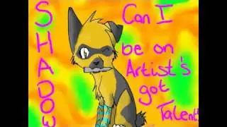 Artist's got talent audition
