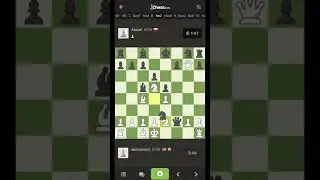 13 move checkmate with the Vienna game #elogrind #chess #blitzchess #chessvariant #chesscom