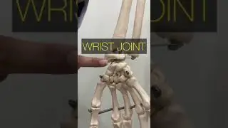 Close pack position of the body joints: Joints position: Joint Locking