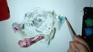 Daisy the Pitbull