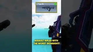 Assault Rifles With The Worst Ironsight!