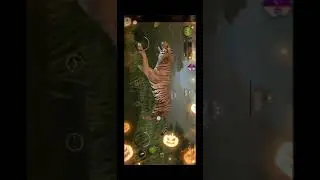 GG Wild animals code