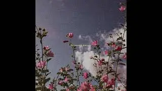 (FREE) *ukulele* Juice WRLD x Polo G Type Beat - damaged