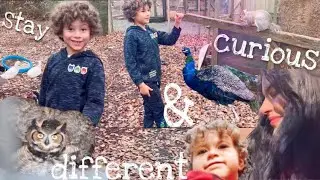 Cozy Holiday Outing | Slow Life | New Year | Autism Spectrum | Homeschool Trip Wild Animal Sanctuary