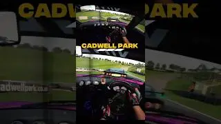 Summer sun, Ginetta Fun! #ginetta #cadwellpark #trackday #racingsimulator