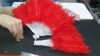 Dance props (Art fan)