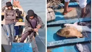 Sea fishing techniques 