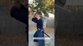 Ryushin Shouchi Ryu Kamae