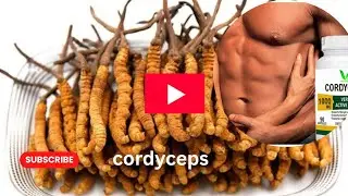 Cordycep Plus Capsule Health Green World | Energy, Immunity & Stamina Booster | HGW