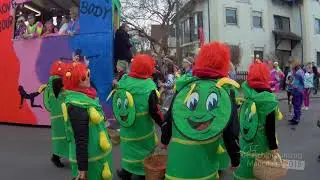 Faschingsumzug Manching 2019