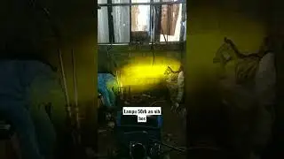 review LED laser H4 merk AES vs VOXX