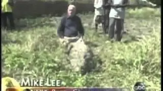 Riding The Crocodile